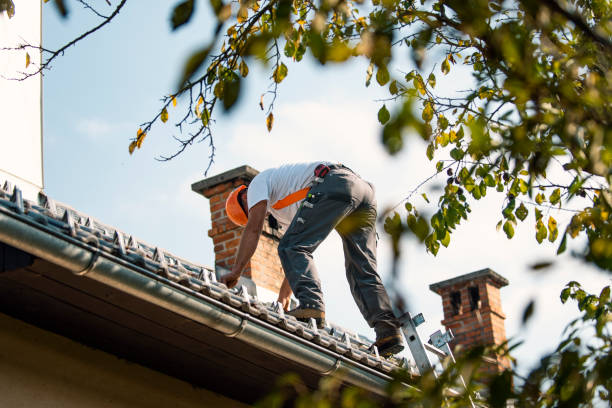 Best Roofing Contractor Near Me  in Laurinburg, NC