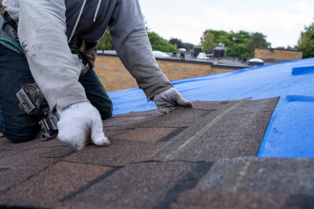 Best Metal Roofing Contractor  in Laurinburg, NC