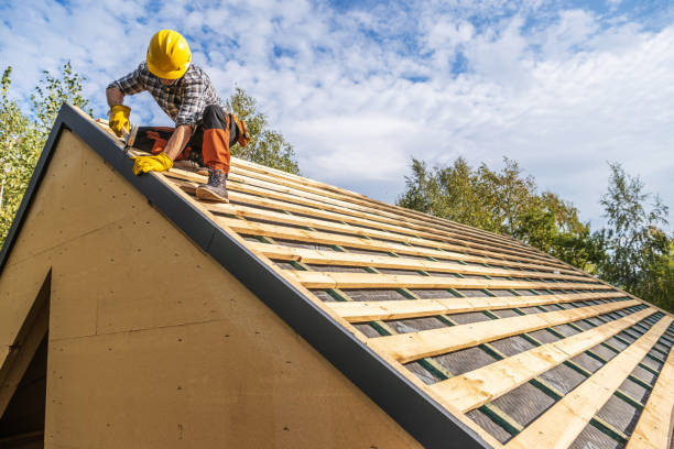 Best Roof Gutter Cleaning  in Laurinburg, NC